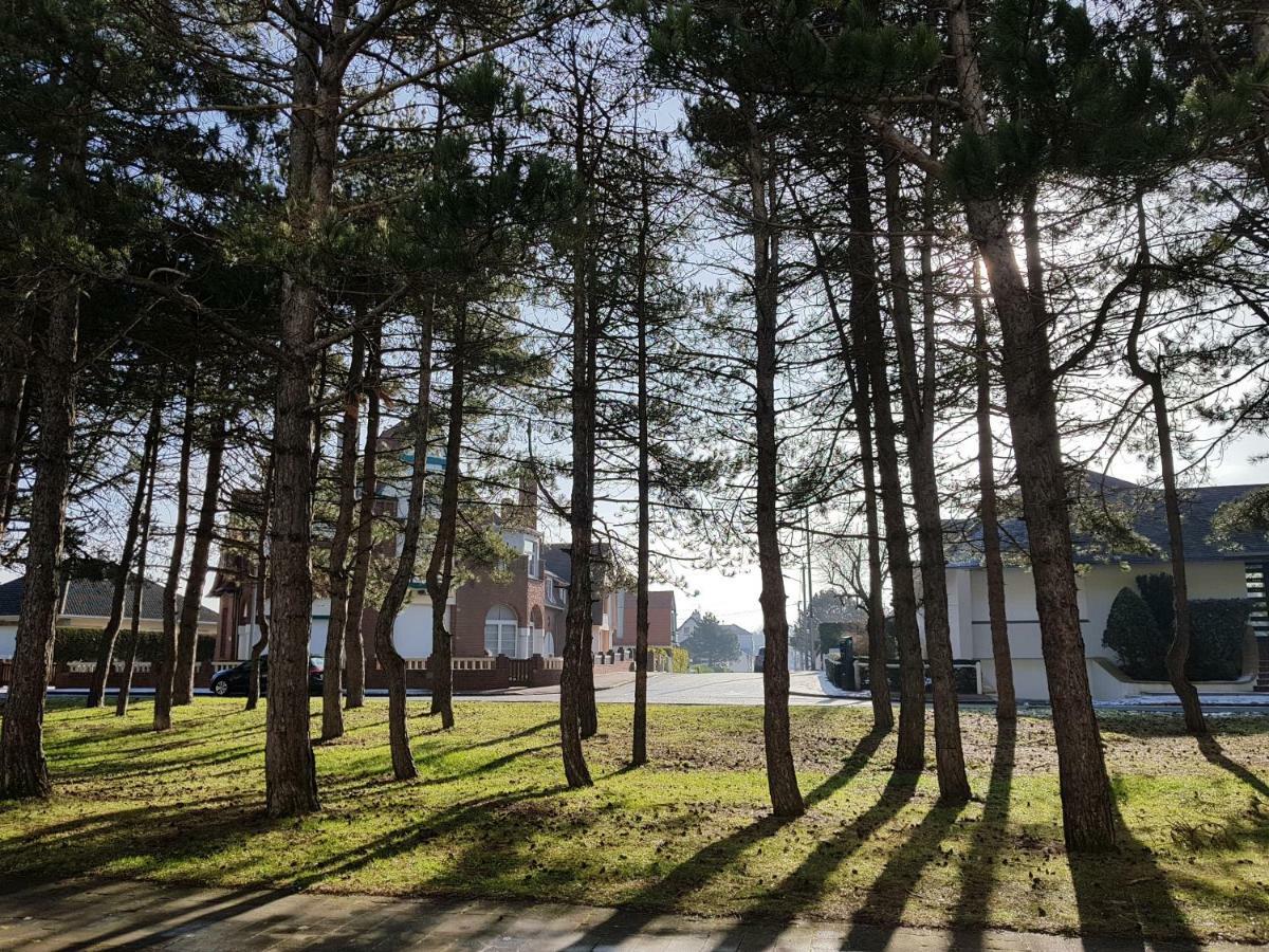 Sunny Days - App 60 M2 Avec Balcon, 4 Pers, 3E Etage, Au Calme Et Ensoleille Apartment Le Touquet Exterior photo